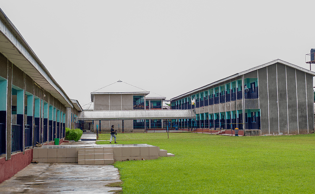 Brother Pius history